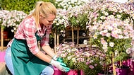 Evinde Canlı Çiçek Yetiştiren Kızlara Dair Bilmeniz Gerekenler