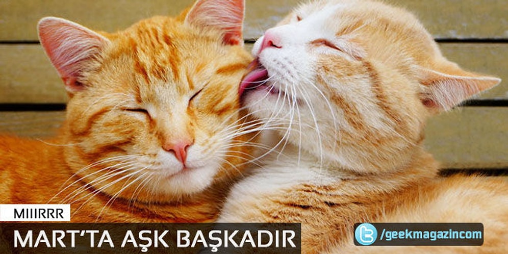 Mart’ta Aşk Başkadır