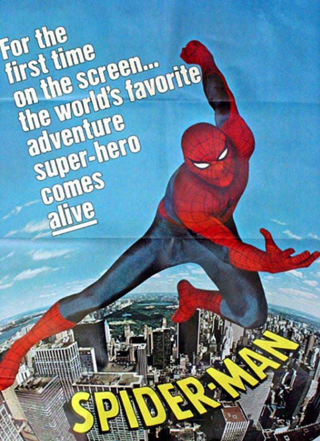 Spider-Man (Peter Parker) (Earth-730911)
