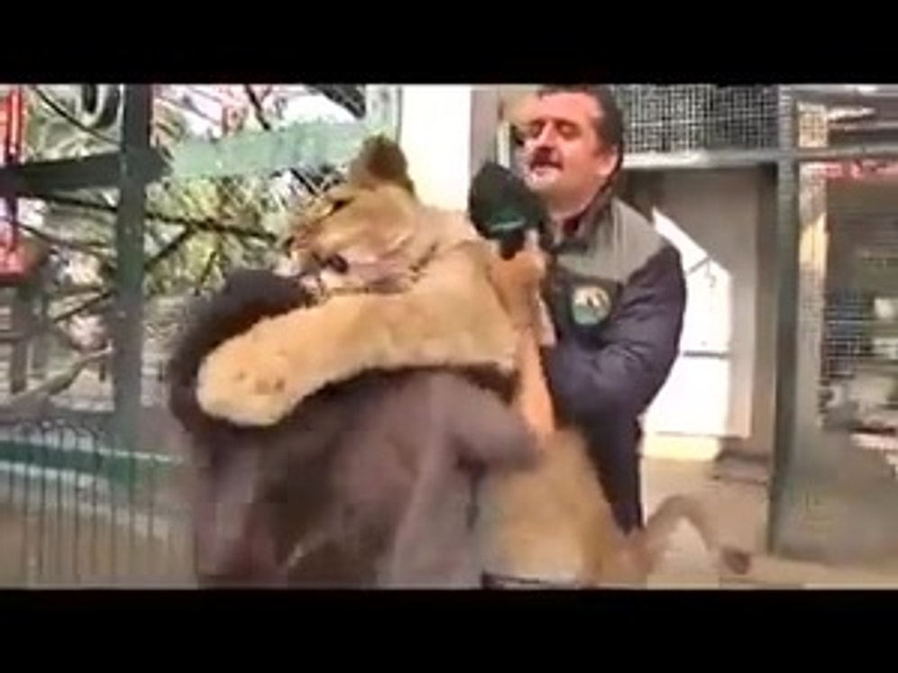 Çılgınlar Gibi Sarılan Yozgatlı Aslan