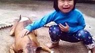 Vietnamlı Çocuk Kayıp Köpeğini Et Tezgahında Görünce
