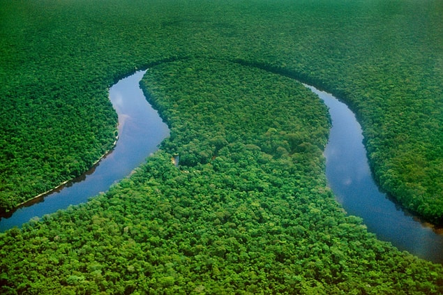 3. Kongo Havzası, Batı Afrika
