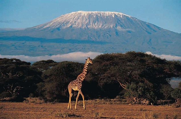 17. Kilimanjaro Dağı, Tanzanya