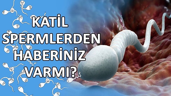 Kamikaze Spermlerin Ne İşe Yaradıklarını Duyunca Çok Şaşıracaksınız!