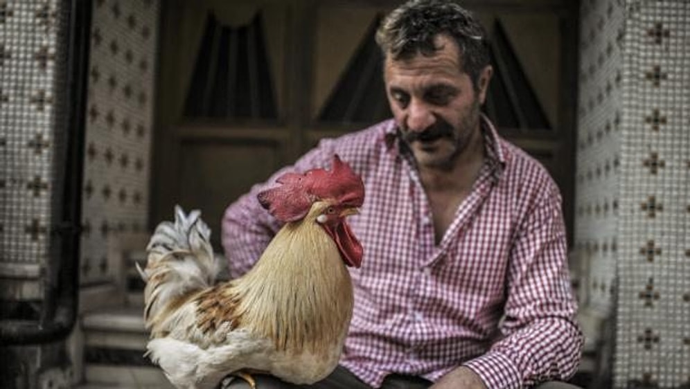 'Bu Behlül Başka Behlül'