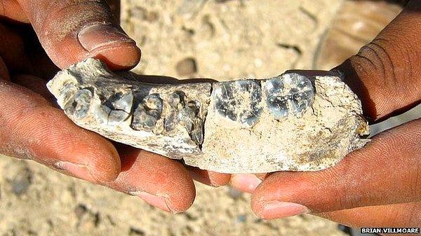 6. Etiyopya’da 2.8 Milyon Yıllık En Eski İnsan Bulundu