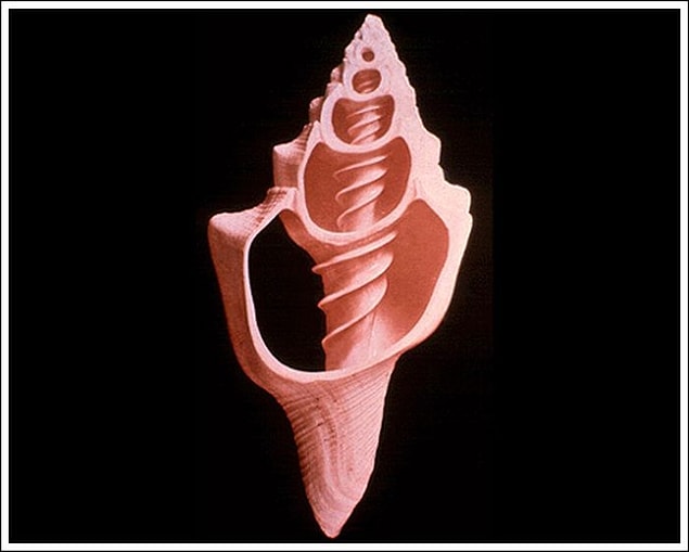 9.