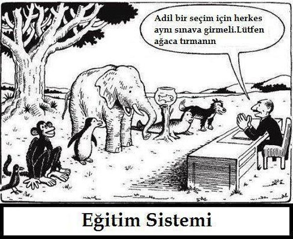 8. FAKİR ZENGİN FIRSAT EŞİTSİZLİĞİNİ GÖRMEDEN HERKESİ AYNI SINAVDAN GEÇİRMEYE ÇALIŞMAK