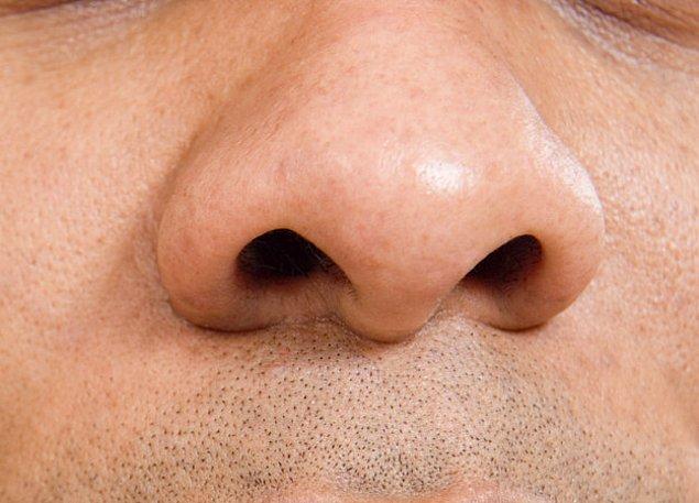 4. İnsan burnu bir trilyondan fazla farklı kokuyu ayırt edebilir.