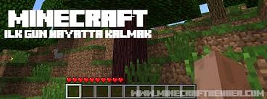 Minecraft İlk Gün Hayatta Kalmak