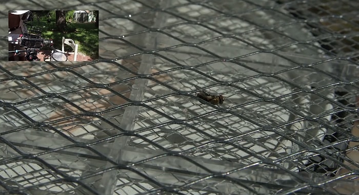 Elektronik Sinek Öldürücü Raket Bir Sineği Nasıl Öldürür?