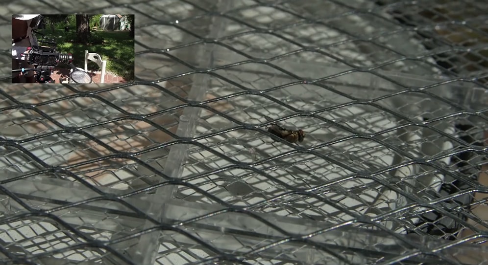 Elektronik Sinek Öldürücü Raket Bir Sineği Nasıl Öldürür?