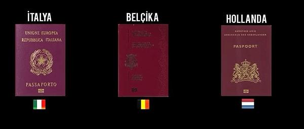 3. Bu ülkelerin pasaportunu taşıyanlar, 171 ülkeye vizesiz seyahat edebiliyor.