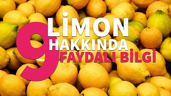 Bir Limondan Bunca Şey Beklenir mi?