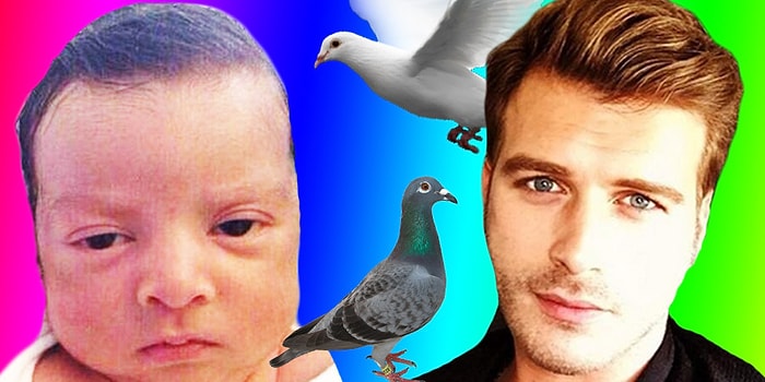 Komikliğiyle Şakaklarınıza Masaj Yaparak Gerginliğinizi Alacak 13 Görselli Tweet