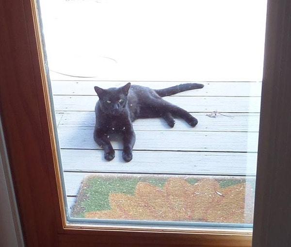 İskoçya ve İrlanda da eğer kapınızda siyah bir kedi belirirse bu mutluluk huzur ve refah ın habercisiydi
