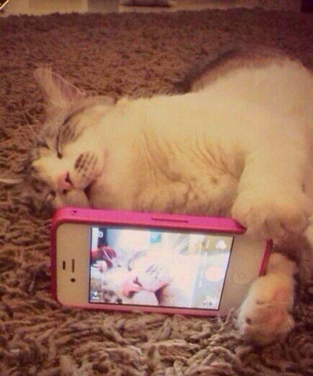 Uyumayıp aslında uyur gibi selfie çekerken ne kadar aptal gözüktüğünü yüzüne vuruyor.. ( Çok ayıp ! )