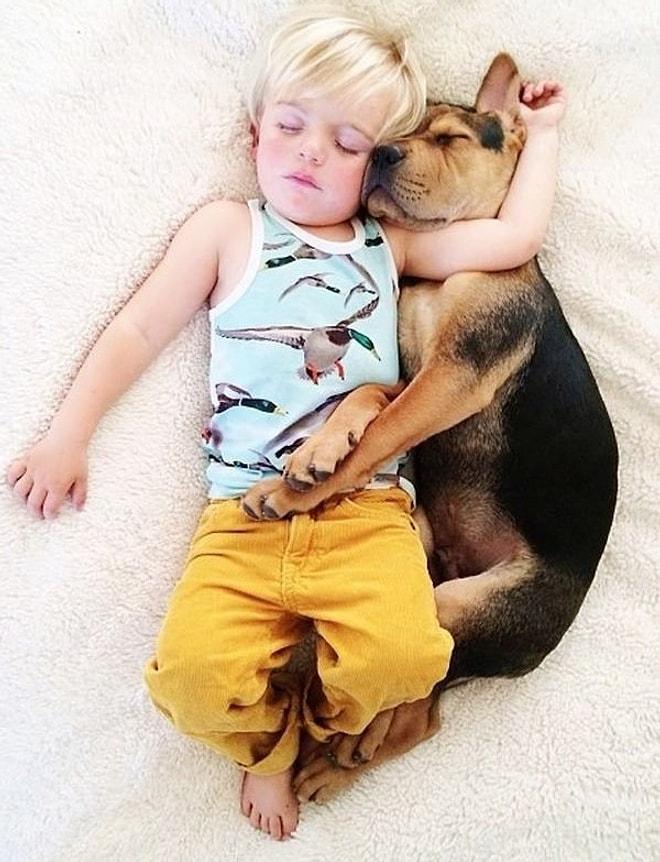 Hunharca Uyuyan Sevimli Bebek ve Köpeğinin Kıskançlık Krizine Sokacak 14 Fotoğrafı