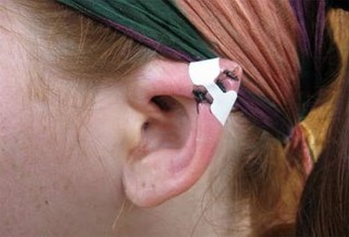 Elf Ears