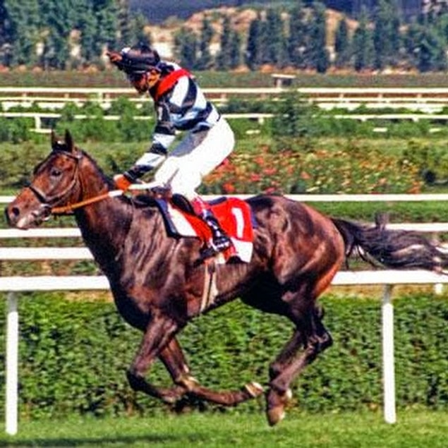 4. Pinokyo gibiydi