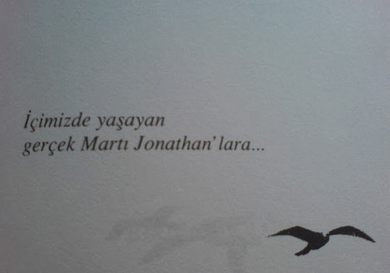 Farklı Olmanın Yanlış Olmadığını Aşılamış 'Martı Jonathan Livingston' Kitabından 14 Alıntı