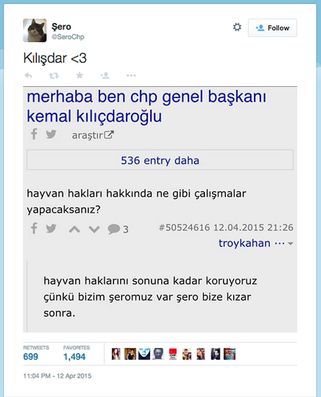 Kendisine gösterilen ilgiye diğer kediler gibi kayıtsız değil