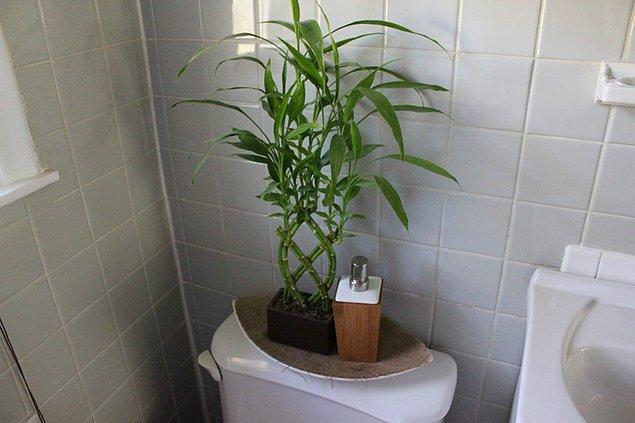 12. Banyoda tropik orman havası estirin.
