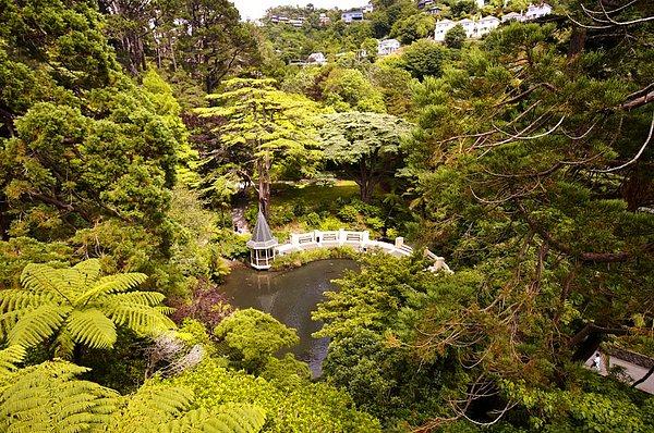 7. Wellington Botanik Bahçesi