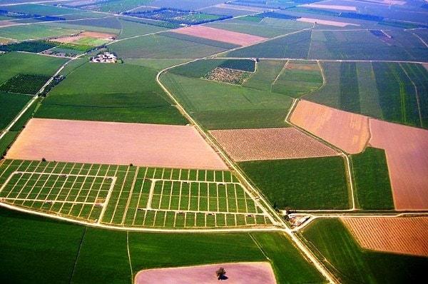 3. Tarım ürünlerimizin önemli bir kısmı verimli ovalarda yetişiyor. Bunlardan hangileri en geniş ovalarımızdır?