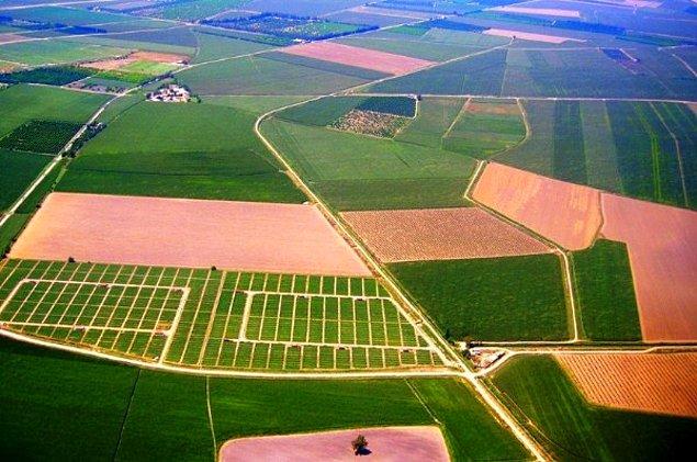 3. Tarım ürünlerimizin önemli bir kısmı verimli ovalarda yetişiyor. Bunlardan hangileri en geniş ovalarımızdır?