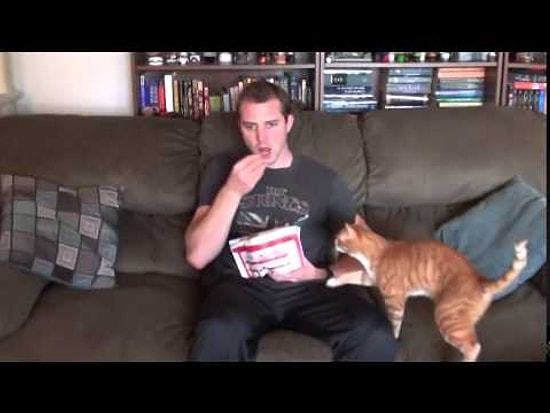 Kedi Sahiplerinin Yaşadığı Yemek Yeme Mücadelesi