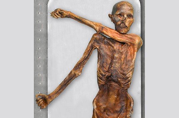 2. Buzadam Ötzi’de Dünyanın En Eski İnsan Kan Hücreleri Bulundu