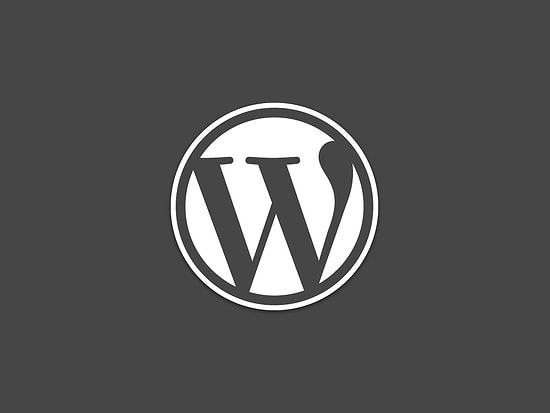 WordPress Artık Blogunuzun En Popüler Olduğu Saati Söylüyor