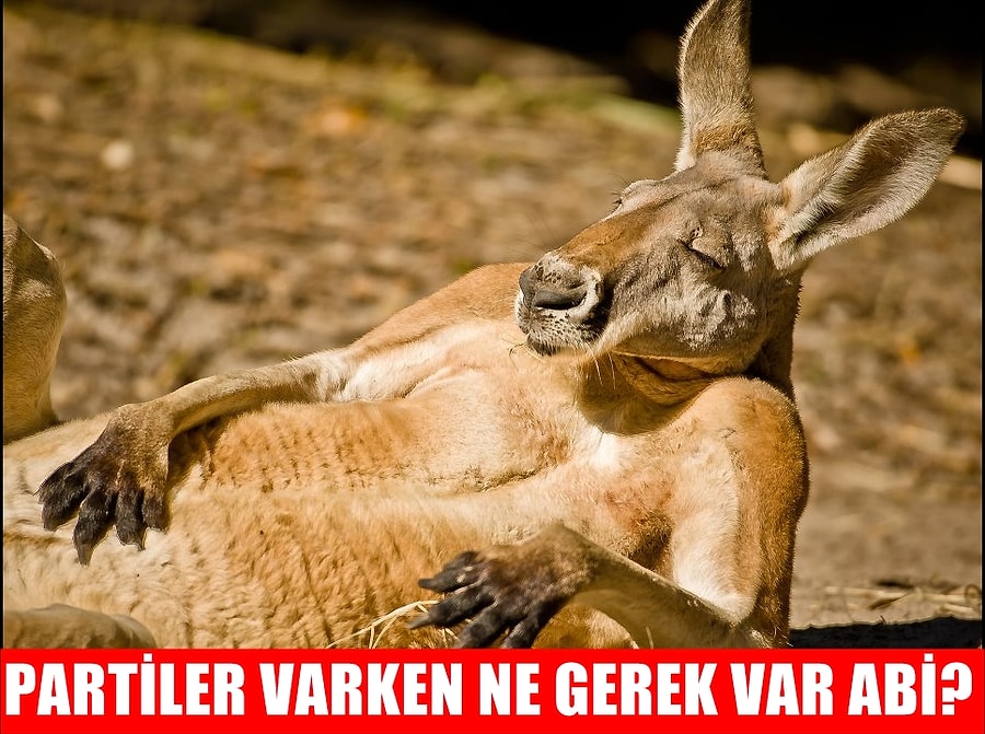 Oy Ve Otesi Gonullusu Olmamak Icin Uretilen 12 Bahane