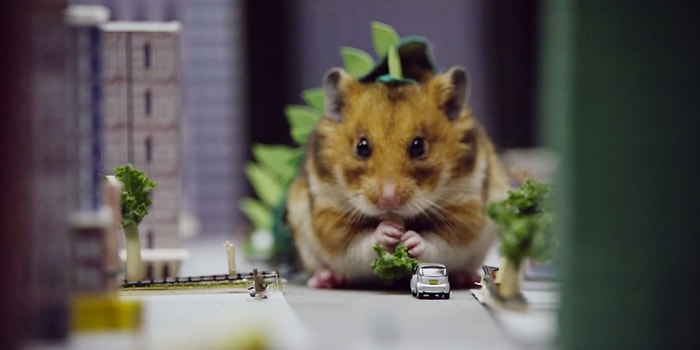 Minnoş Bir Hamster Kocaman Bir Canavara Dönüşebilir mi?
