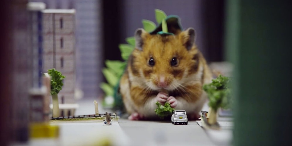 Minnoş Bir Hamster Kocaman Bir Canavara Dönüşebilir mi?