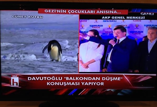 Halk TV'den Balkon Konuşmasına Penguenli Gönderme