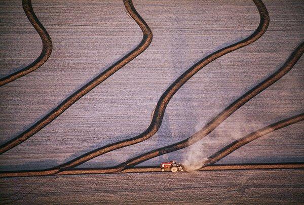 65. Arkansas, pirinç tarlaları (1978)