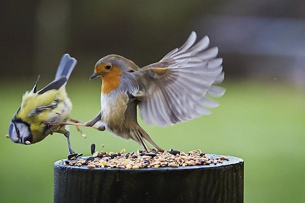 6. "This is Sparta!"