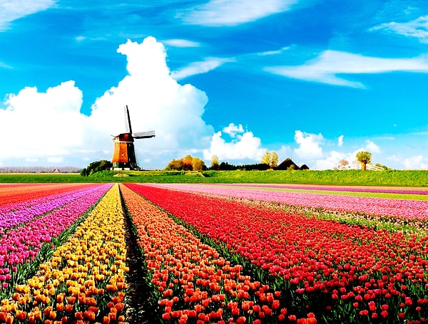 11. Hollanda