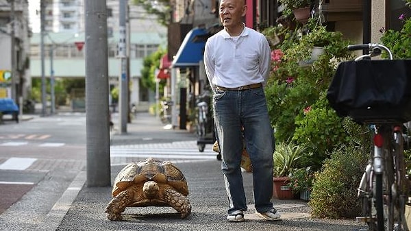 6. Bu arada hayatını cenaze evi yöneticiliği yaparak geçiren Mitani Hisao ise 62 yaşına gelmiştir.