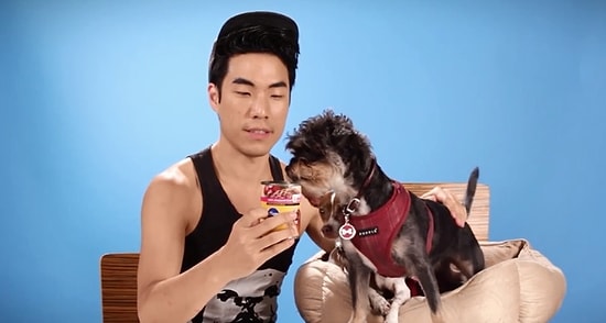 İlk Defa Köpek Maması Yemeyi Deneyen İnsanlar