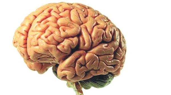 2. Beyin kendine isim koyan tek organdır.