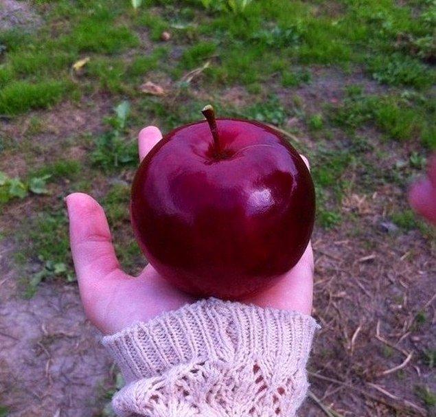 5. "Bana şöyle taze bir elma getirsen ya"
