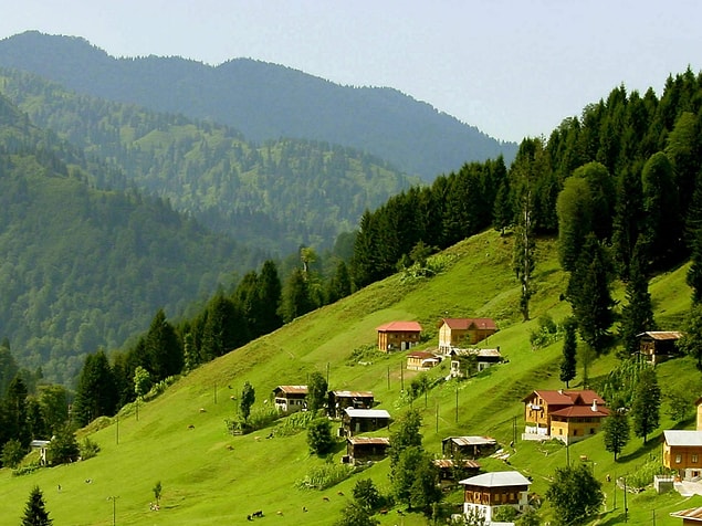Rize!