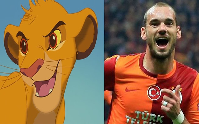 17. Simba - Sneijder
