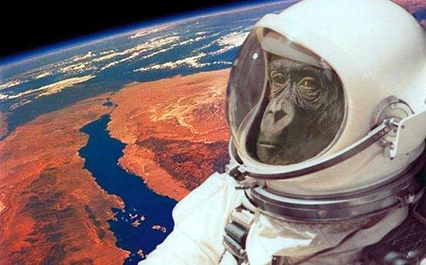 3. Uzaydaki ilk hayvan hangisidir?
