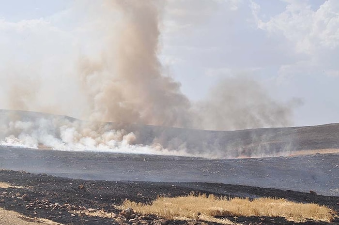 Cudi Dağı'ndaki Yangında 100 Hektar Alan Kül Oldu