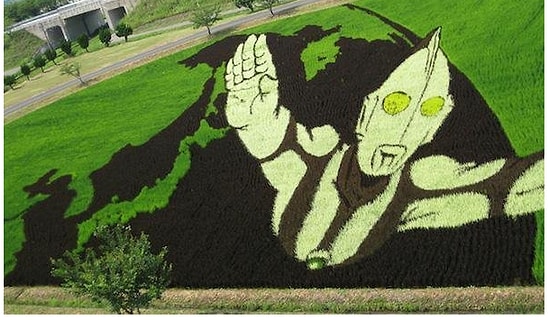 Japonların 'Pirinç Tarlası Sanatı'ndan Akıllara Durgunluk Veren 17 Örnek