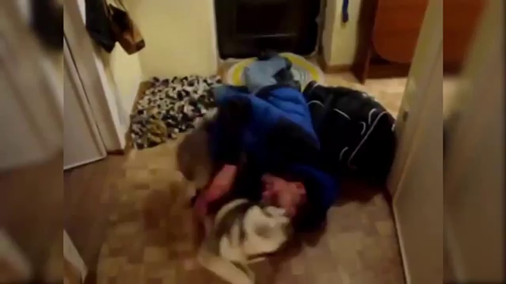 Tatilden Dönen Sahibini Gören Köpeğin Sevinç Patlaması Yaşaması